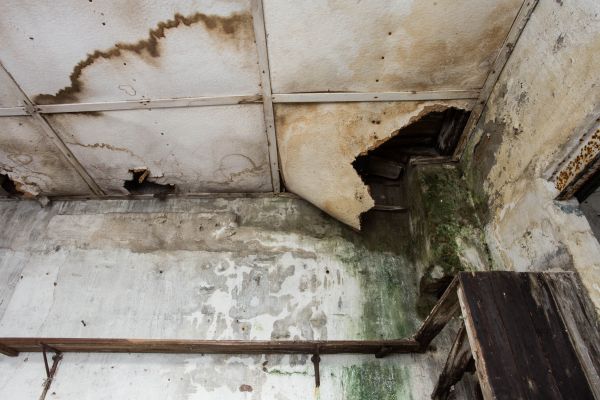 Water Damage Service in New Port Richey