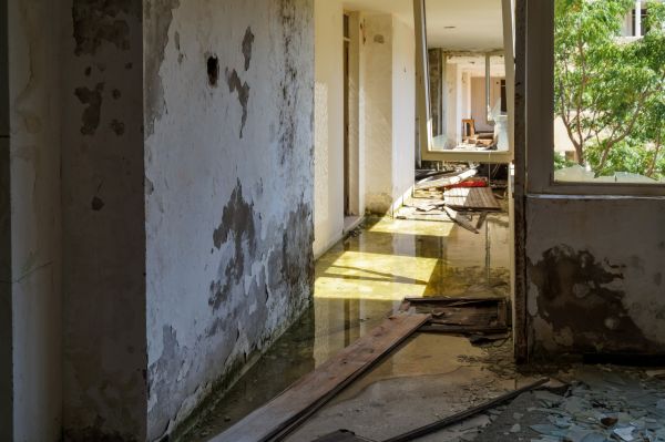 Cost of Water Removal Service in New Port Richey
